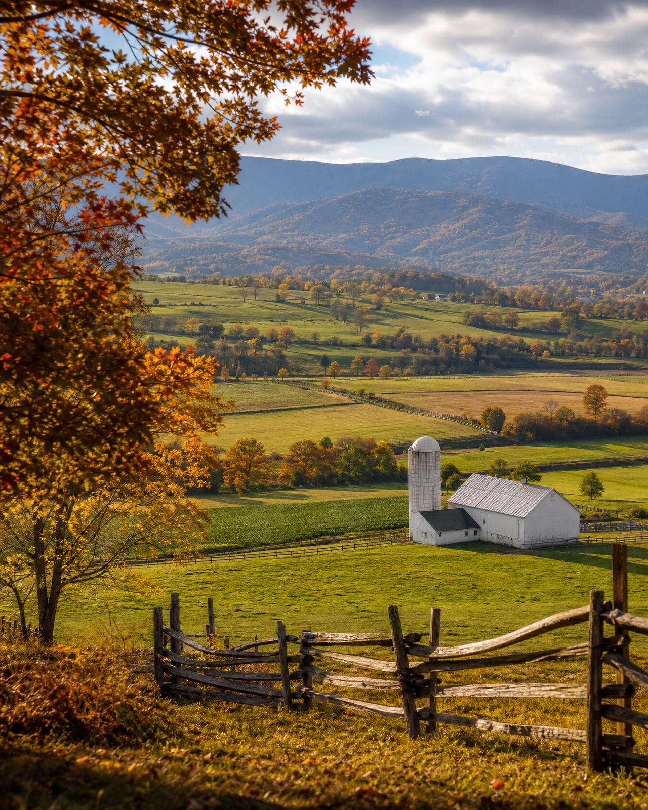 Shenandoah Valley Discovery